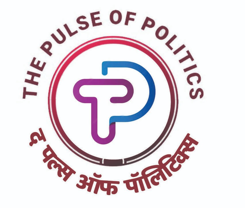 thepulseofpolitics.com